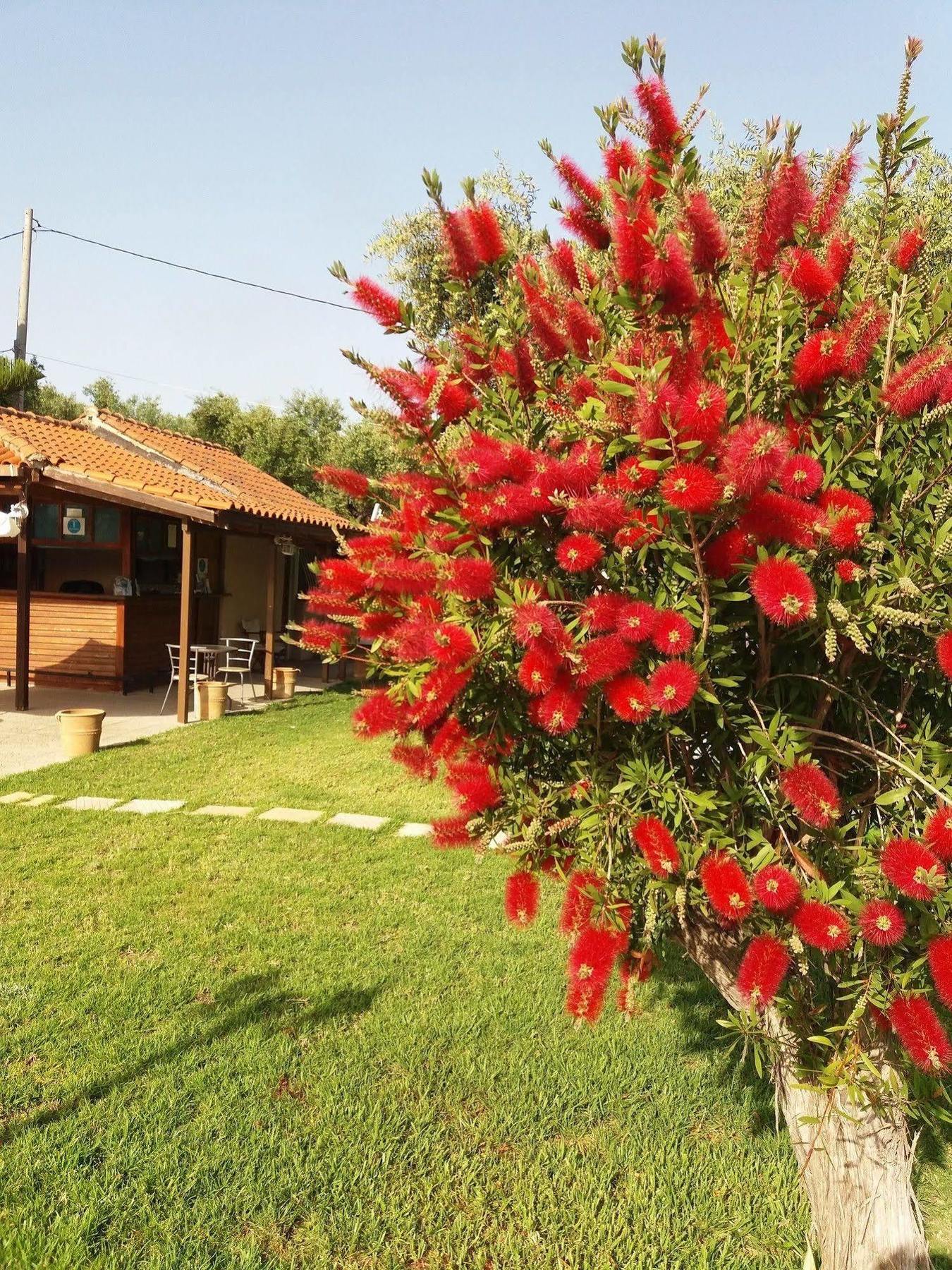 Sole E Mare Apartments Tsilivi  Exterior photo